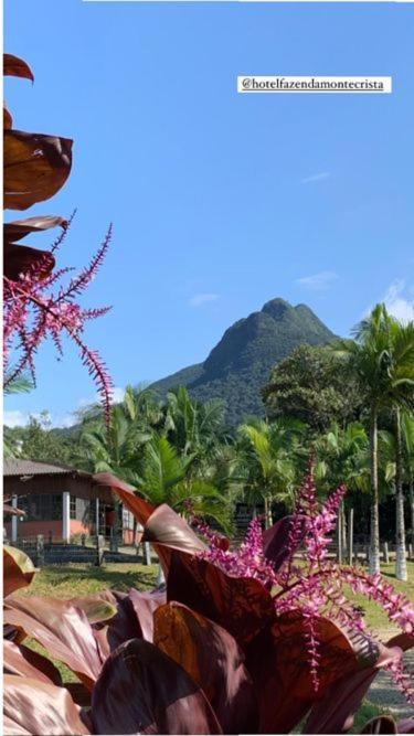 Hotel Fazenda Monte Crista Rio Bonito  Eksteriør bilde